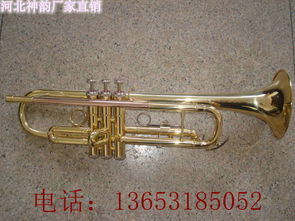 塑料小号的市场报价与厂家乐器批发全解析